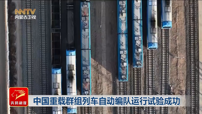 1770087663817 图片1